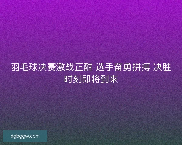 羽毛球决赛激战正酣 选手奋勇拼搏 决胜时刻即将到来
